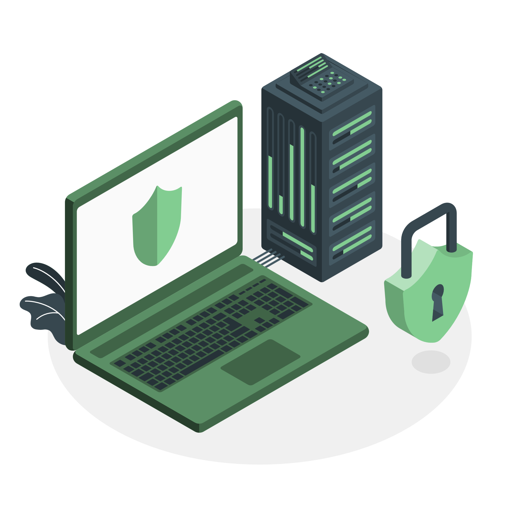 Dw&oacute;ch mężczyzn stoi przed zabezpieczonym serwerem dedykowanym